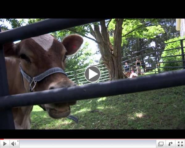 Catskills Family Creameries: Come Travel the Milky Way