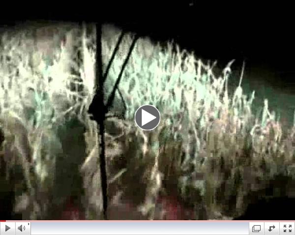 Luke Bryan- Harvest Time Video