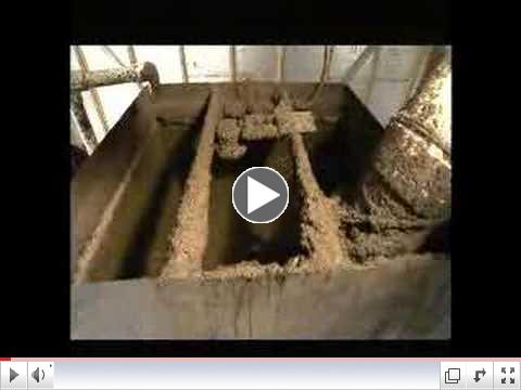 Worm Power - Worm Castings Fertilizer