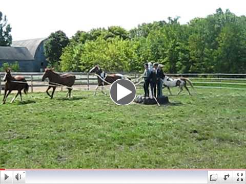 Four-way Circling Game