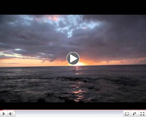 The Ocean Plastic Issue