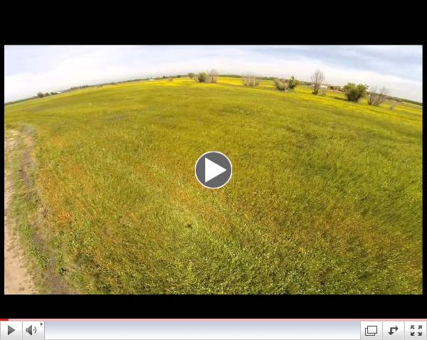 Project Apis m. - A Drone's (UAV) View of Bee Pasture
