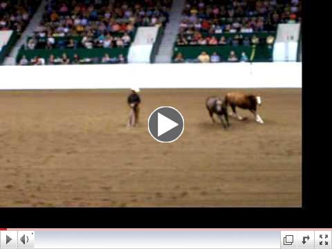 Parelli 2012 Horse & Soul Tour, St Paul MN Ryan Rose from Upper Michigan Spotlight