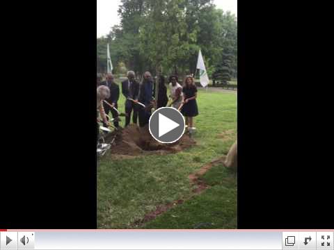 The Tree Planting