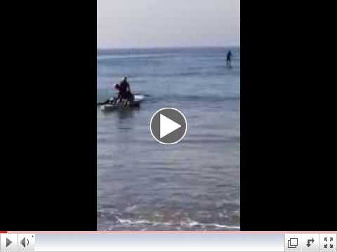 Amazing Seal Pup Encounter With Stand Up Paddle Boarders