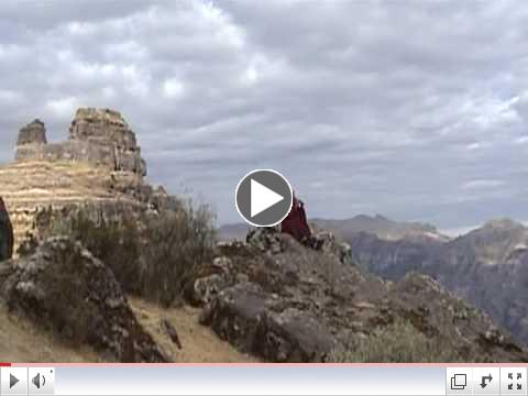Shaman Don Martin Pinedo playing