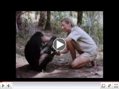 Jane Goodall's Journey