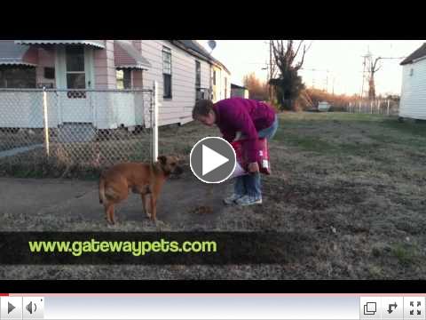 Ra-Ra in East St. Louis. 12.29.11