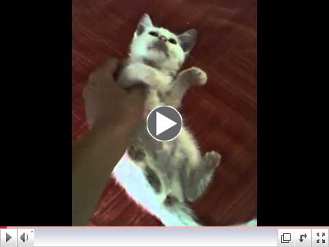 Blanca receiving Amma Therapy