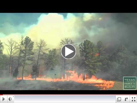 See how fast wildfire spreads - Texas Parks and Wildlife [Official]