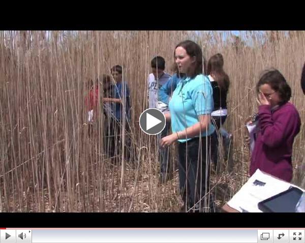 Place-based Education in Northeast Michigan - Full