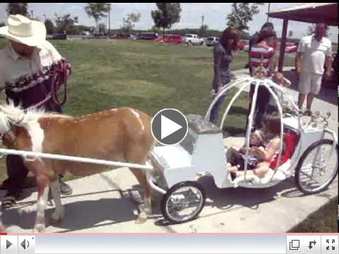 Princess Carriage Rides Party-Snow White Carriage Rides-Rapunzel Mini Horse Carriage Rides