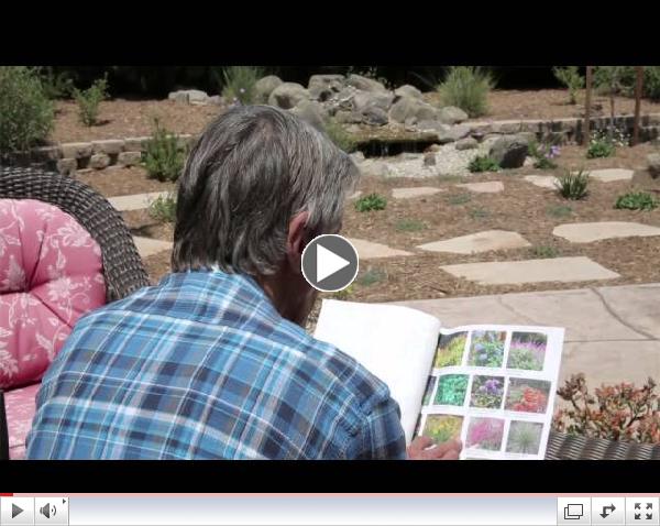 Ocean Friendly Garden Case Study