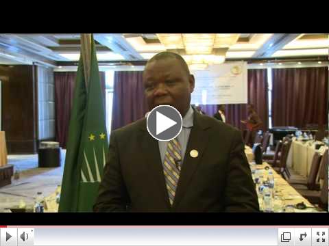 Dr. Joseph Chilengi, Presiding Officer of AU ECOSOCC