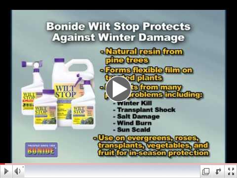 Bonide - Wilt Stop Protects