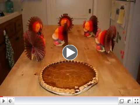Happy Thanksgiving - Stop Motion Video