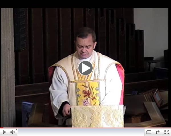 St Francis of Assisi Festival Sunday