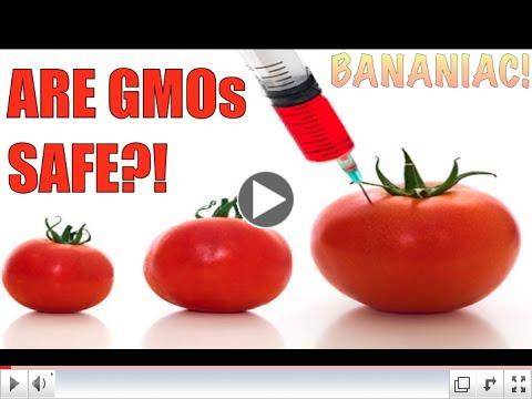 Are GMOs Safe? | Dr. T. Colin Campbell (3 minute video)