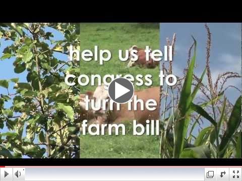 Youth Food Bill of RIghts