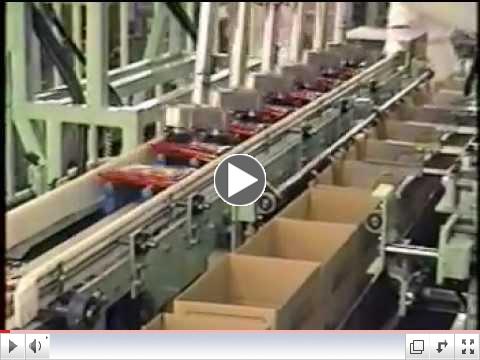 Mitsubishi Robotics Solutions - Packing/Palletizing