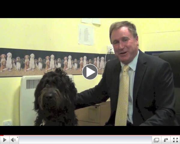 The world's first 'Woof to Wash' washing machine