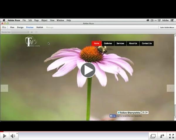 How To Get Started With Adobe Muse CC - 10 Things Beginners Want To Know How To Do