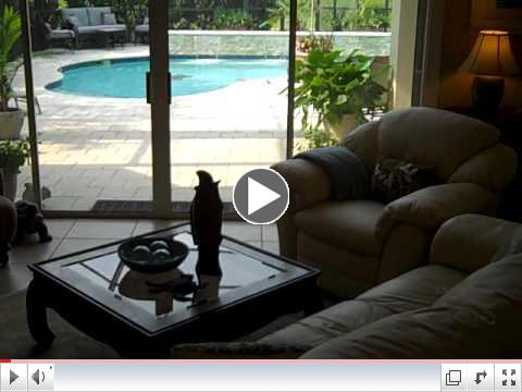 4th of July '11 thru 12-11 004.MP4
