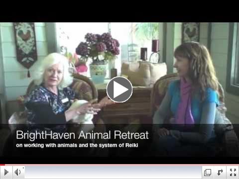 BrightHaven & Animal Reiki