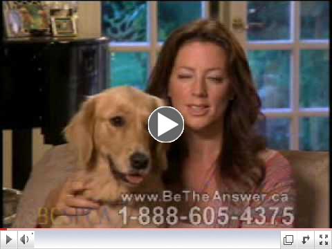 Sarah McLachlan SPCA Commercial