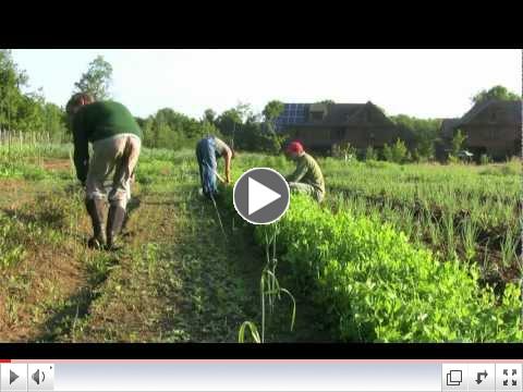 Cohousing Video - Life in a Green Community