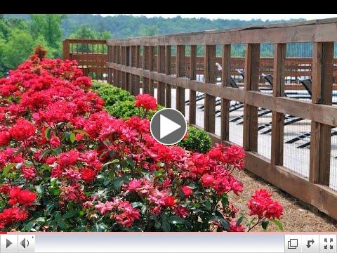 Natural and planted foliage at Smith Lake RV & Cabin Resort featuring Robin Heatherly 