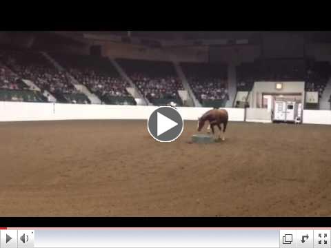 Ryan Rose's Spotlight at the Parelli Horse & Soul Tour