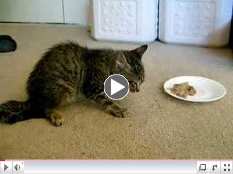 Moki Eating