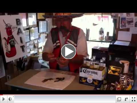 Captain Joel's Fishing Minute Ep. 11