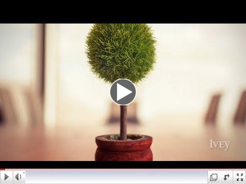 Sustainable Innovation | Faculty Focus with Tima Bansal - October 2012
