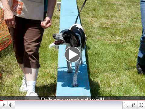 WHISKER WALK HIGHLIGHTS!