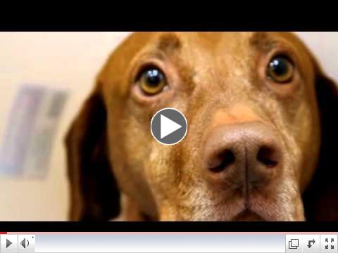 See the new video from our home page.