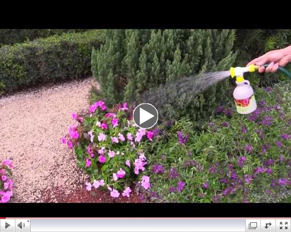 Nature's Source Plant Food - For all your garden plants!