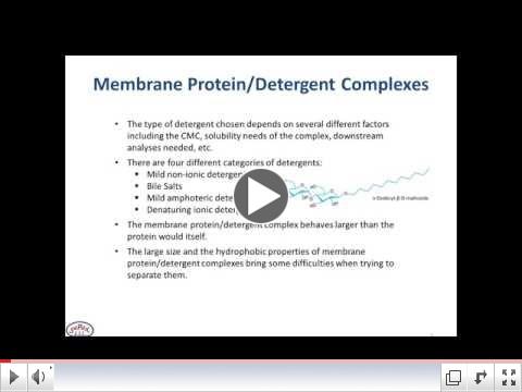 Membrane Protein Separations by SEC