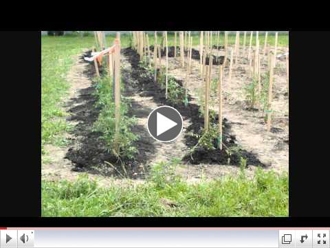 Ever-Green Gardening Ministries 2010 Video Test.wmv