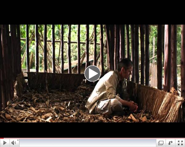 Click here to view the trailer!