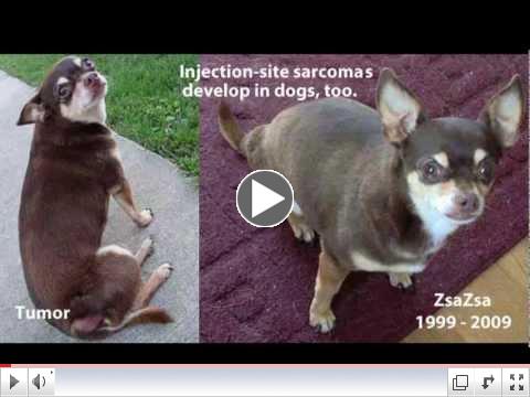 The Dark Side of Pet Vaccination