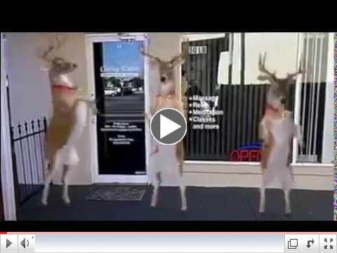 Caring Palms Holiday Greeting