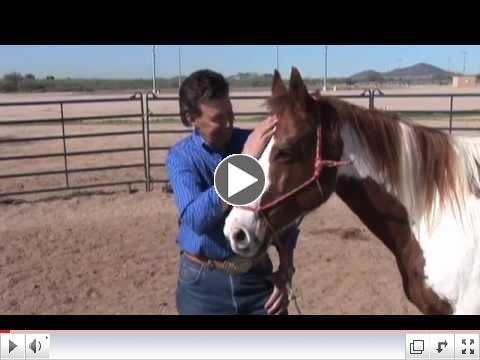 Episode 395 of The Horse Show with Rick Lamb 