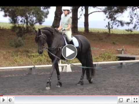 Improve your seat with Erica Poseley a RWYM coach!