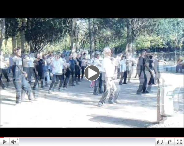 Dia mundial del Tai Chi Chuan y el Chi Kung 2013