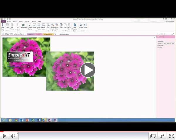 OneNote: How to Capture and Organize Everything