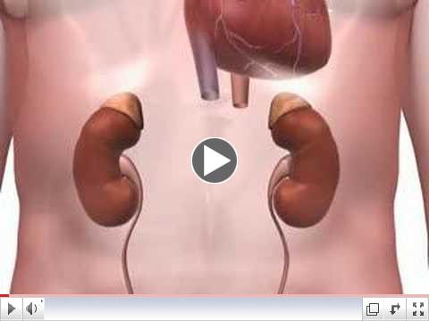 Effects of High Blood Pressure on your Body - KreativeVistas