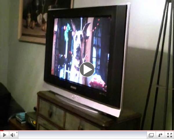 SMITTY MUST WATCH MARMADUKE!