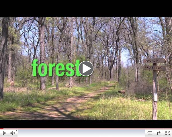 John F. Burke Nature Preserve: An Overview